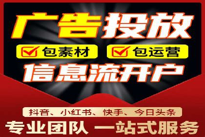 XX领域竞价广告的投放策略及效果展示